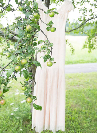 Сезон открыт: яблоки и груши для осенней свадьбы 