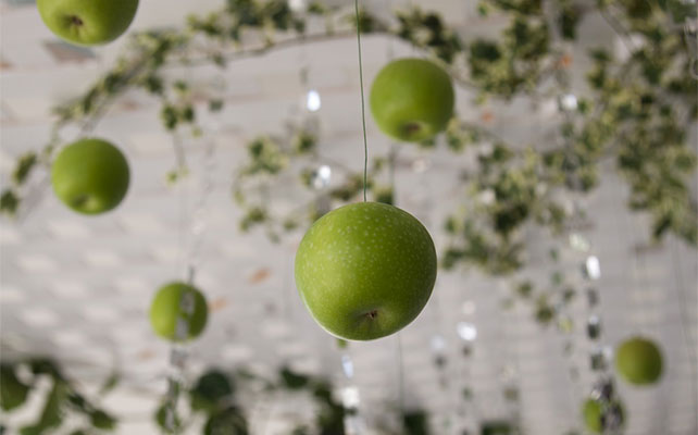 яблоки в декоре свадьбы