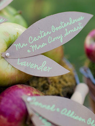 яблоки в декоре свадьбы, рассадочные карточки