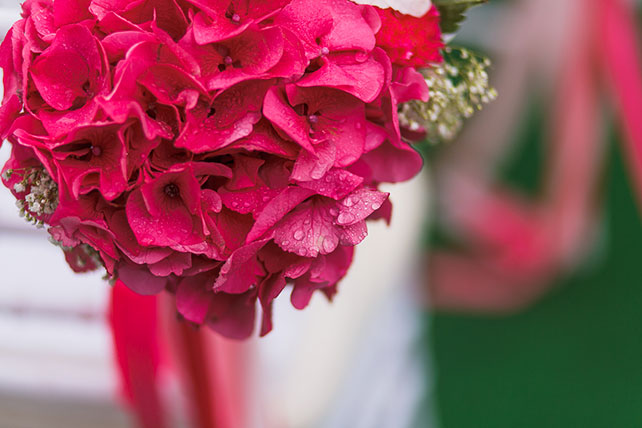 зачем нужен свадебный организатор, свадебное агентство Plombir Wedding, свадьба в розовом цвете