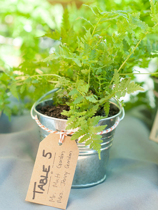 Зеленый папоротник: 50 идей для свадьбы 