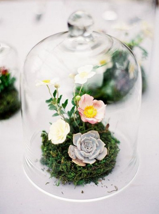 Маленький мир: зеленый террариум в свадебном оформлении 