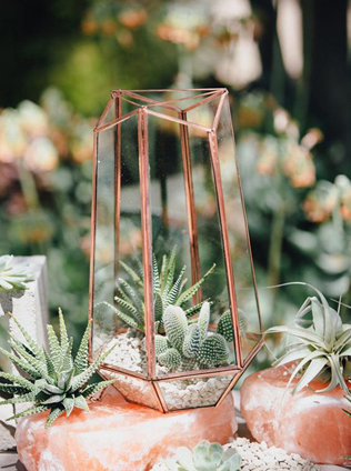 Маленький мир: зеленый террариум в свадебном оформлении 