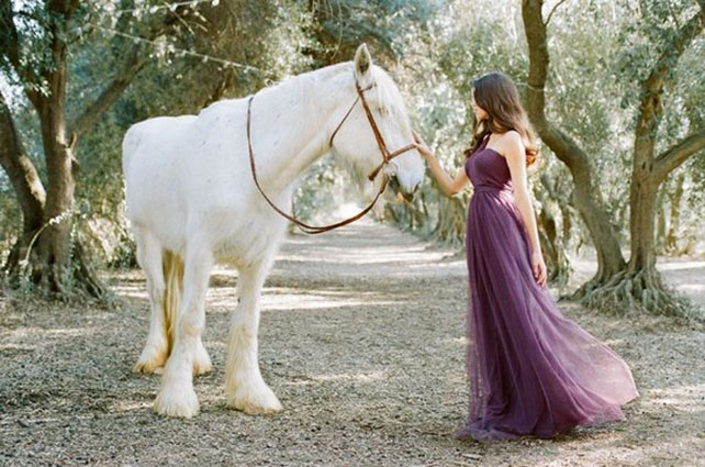 Животные на свадьбе - лошадь