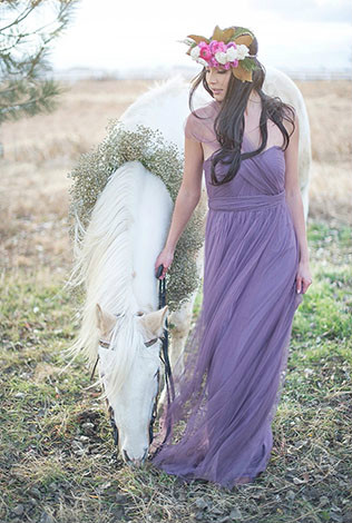 Животные на свадьбе - лошадь