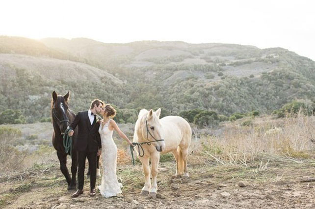 Животные на свадьбе - лошадь