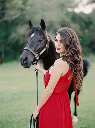 Животные на свадьбе - лошадь