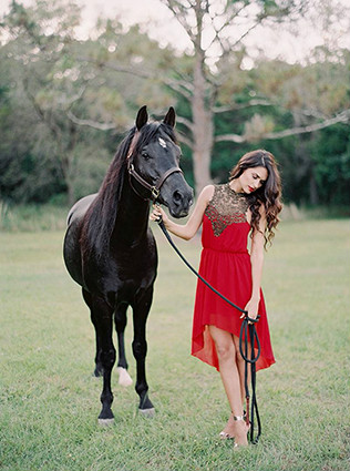 Животные на свадьбе - лошадь