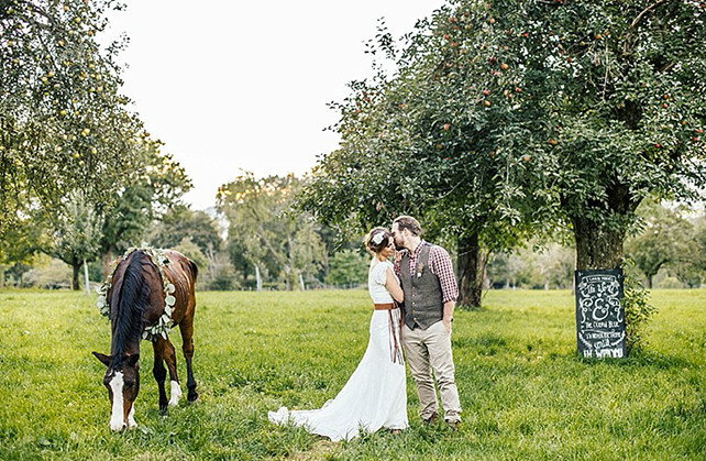 Животные на свадьбе - лошадь