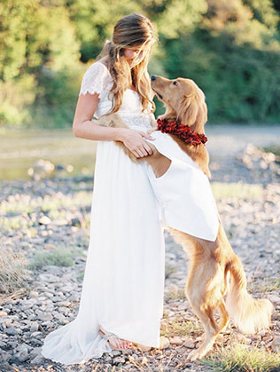 Животные на свадьбе - собака