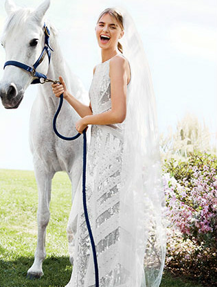 Животные на свадьбе - лошадь