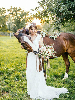 Животные на свадьбе - лошадь