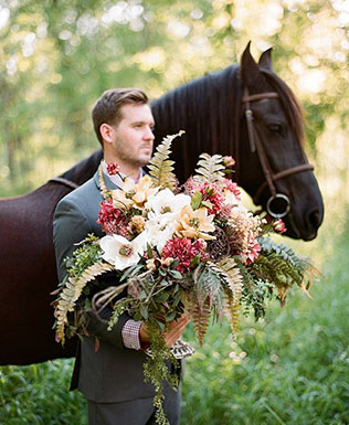 Животные на свадьбе - лошадь