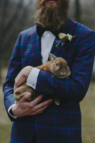 Животные на свадьбе - кролик