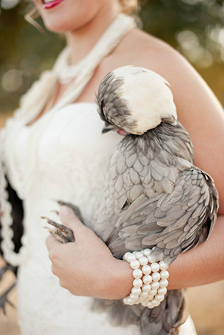 Филин на свадьбе