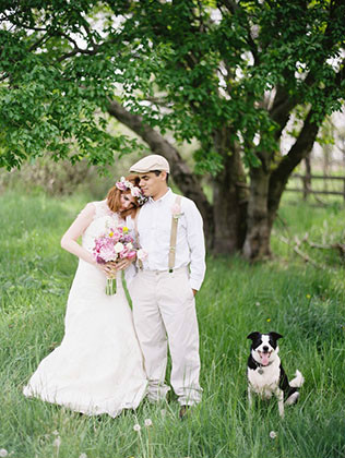 Животные на свадьбе - собака