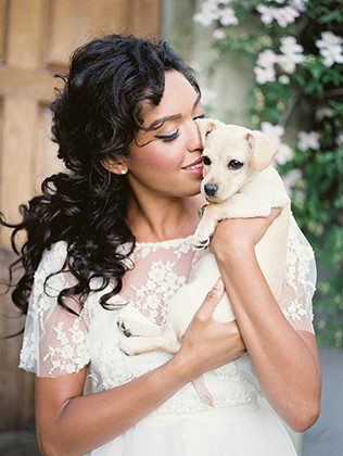 Животные на свадьбе - маленькая собачка