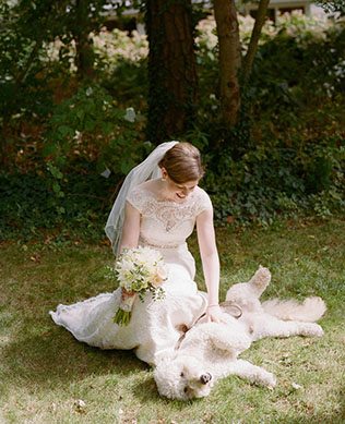 Собаки на свадьбе фото