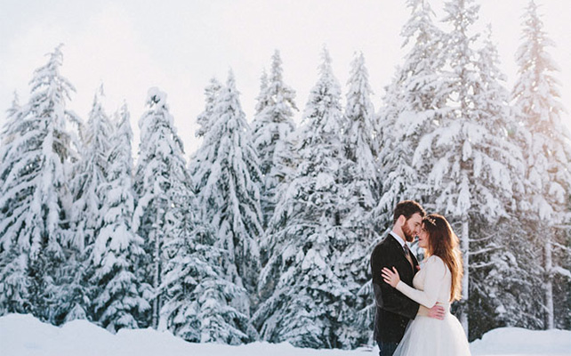 Зимняя сказка на свадьбе