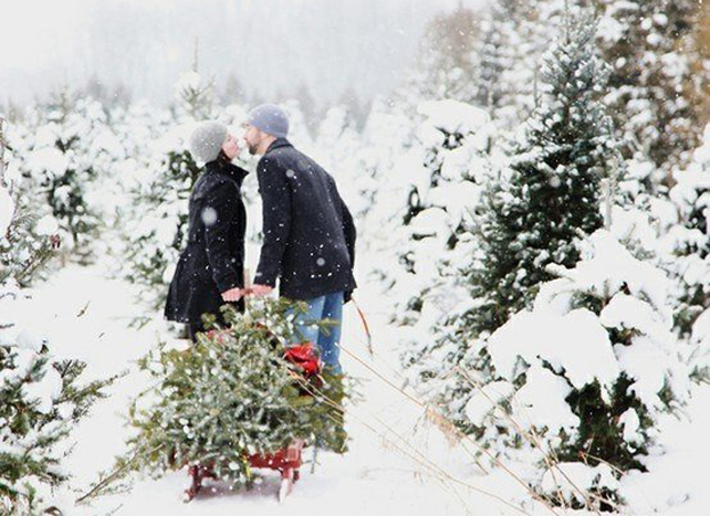 Зимняя свадьба 