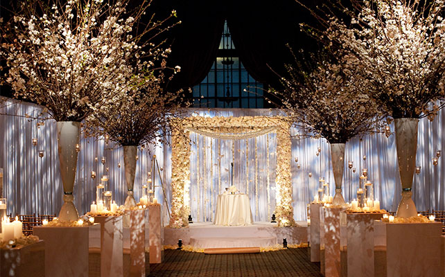 зимняя свадебная арка