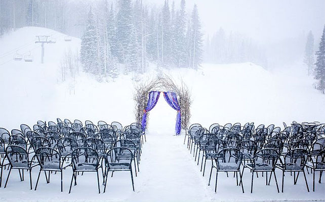 зимняя свадебная арка