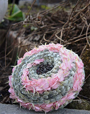 букет невесты гламелия