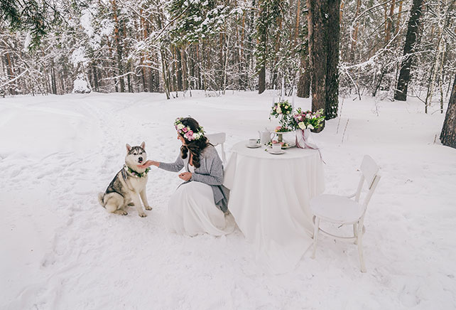 Зимняя прогулка невесты в лесу, невеста с собакой