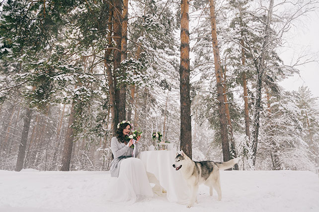 Зимняя прогулка невесты в лесу, невеста с собакой за столом