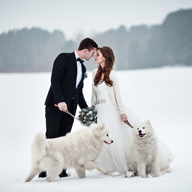 Свадьба в феврале: 10 благоприятных дат, приметы и обряды для последнего месяца зимы