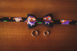 Совиная свадьба, бабочка жениха, кольца