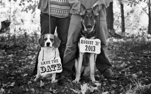 Фотосессия с животными