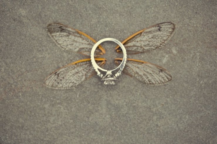 Деталь фотосессии: кольцо среди крыльев бабочки
