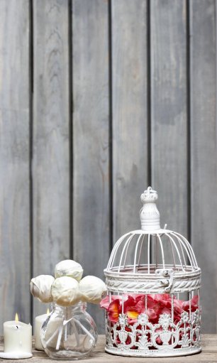 Клетка как декор для свадебной фотосессии