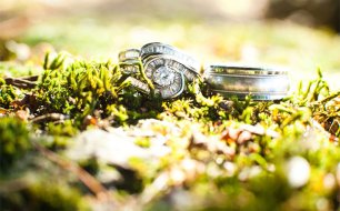 Кольца на траве