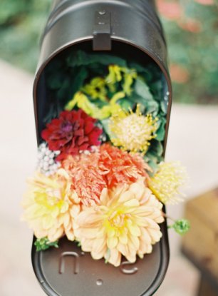 Цветы в почтовом ящике