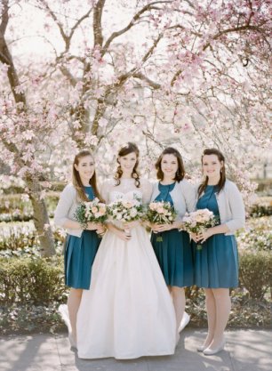 Подружки невесты под вишневым деревом