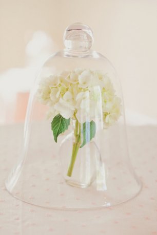 Цветы в стеклянном колпаке