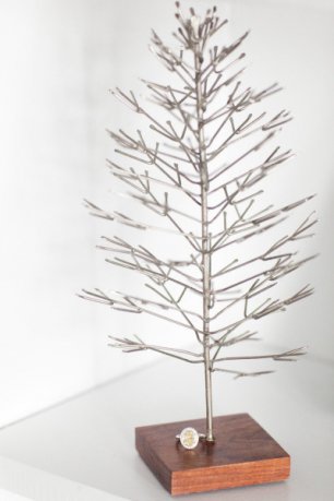 Кольцо возле декора