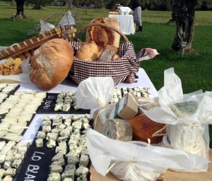 Сырный стол на свадьбе