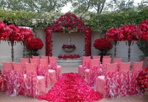 место бракосочетания, место для гостей, декор стульев