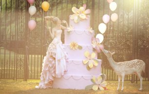 Фотосессия на свадьбе, Свадебное платье