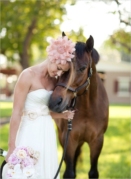 Фотосессия невесты с лошадью