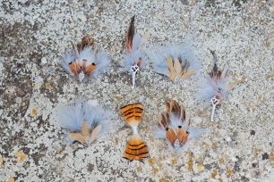 Бабочка жениха, бутоньерки и заколки для гостей с перьями