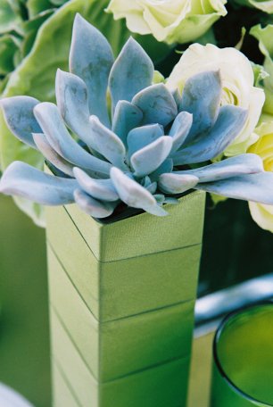 Идеи для свадьбы