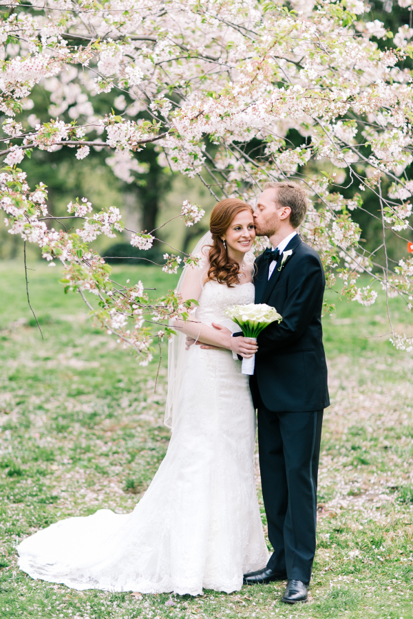 Жених и невеста на фоне расцветшего дерева