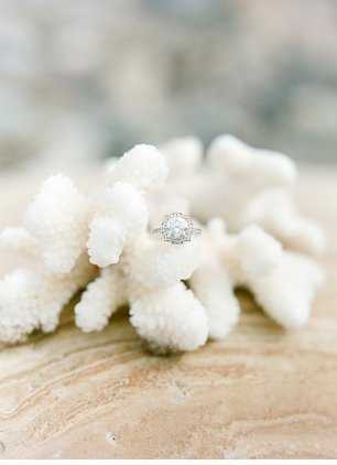 Кольцо на кораллах