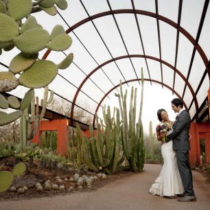 Идеи для свадьбы