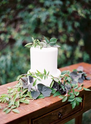 Белый торт украшенный растительностью