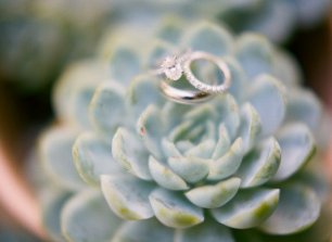 Обручальные кольца